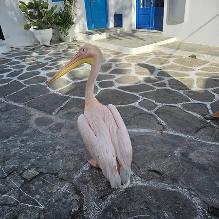 アパート Draskos Mykonos Town