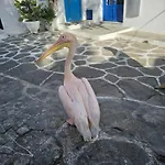 Apartment Draskos Mykonos Town