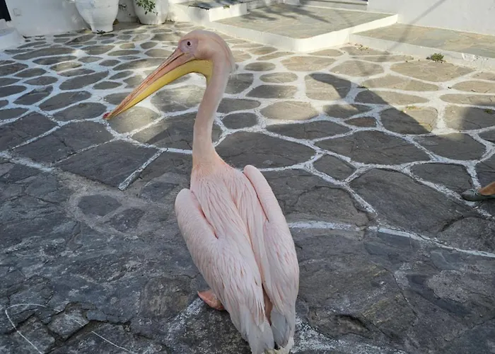 Appartamento Draskos Mykonos Town